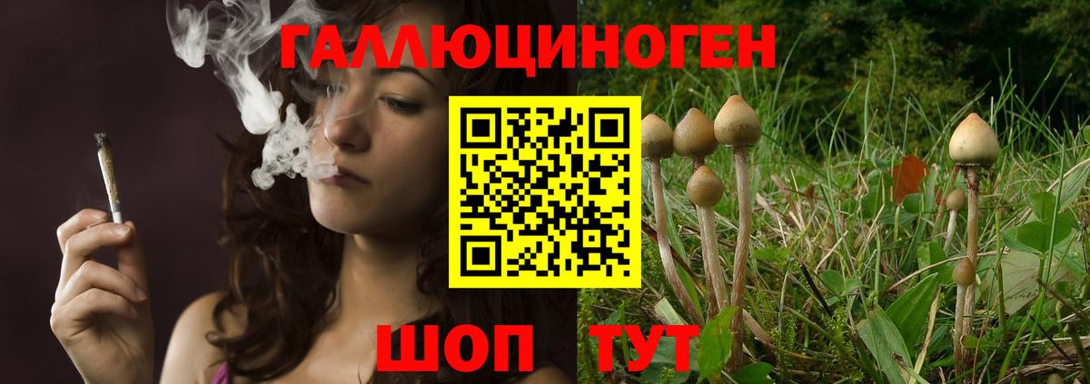 Отрадный  Галлюциногенные грибы мухоморы  Вход с VPN 